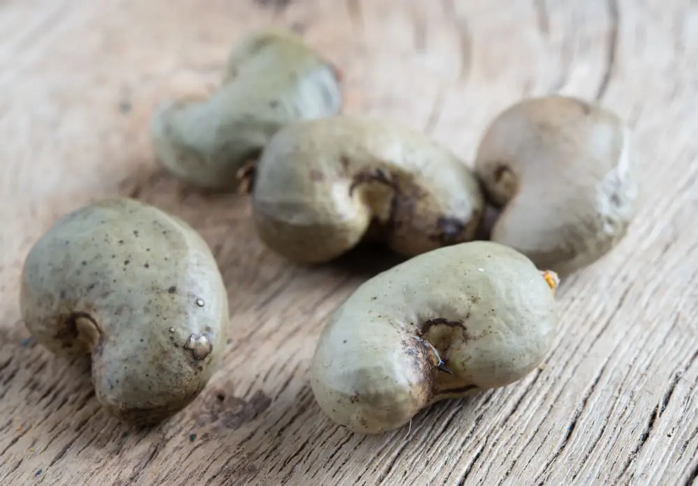 rå cashewnødder