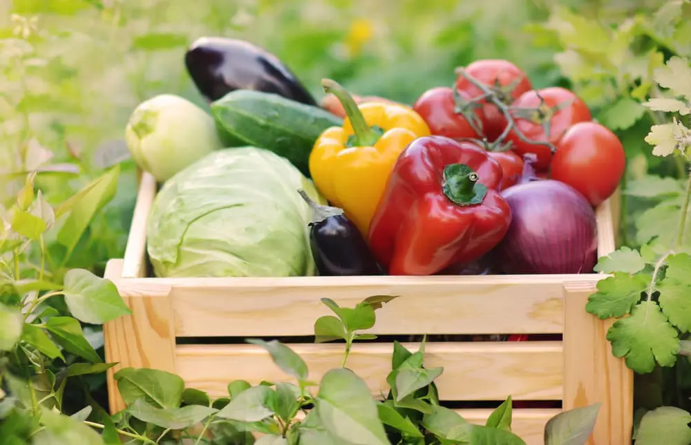 Llene sus comidas de fruta y verdura fresca para combatir los virus