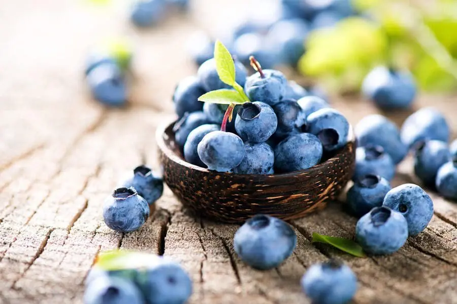 Health Benefits Blueberries