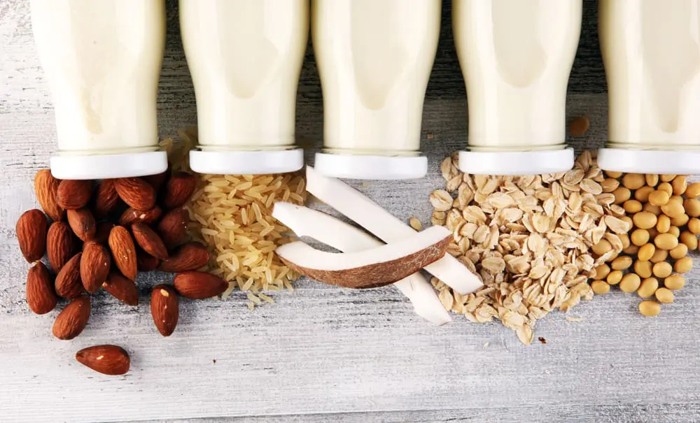What are plant milks?