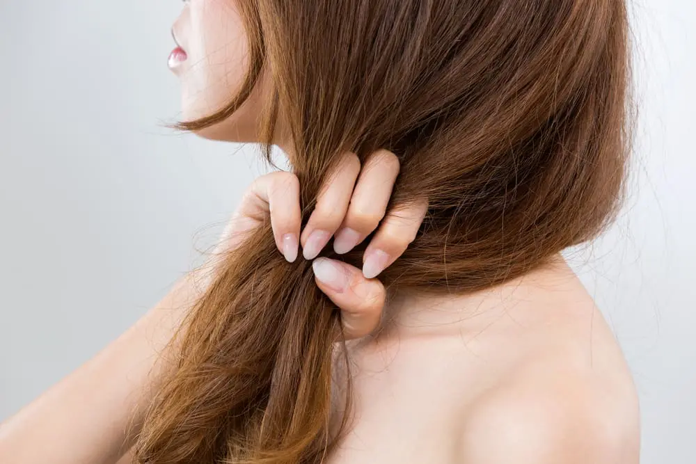 Como usar óleo de jojoba para cabelos secos
