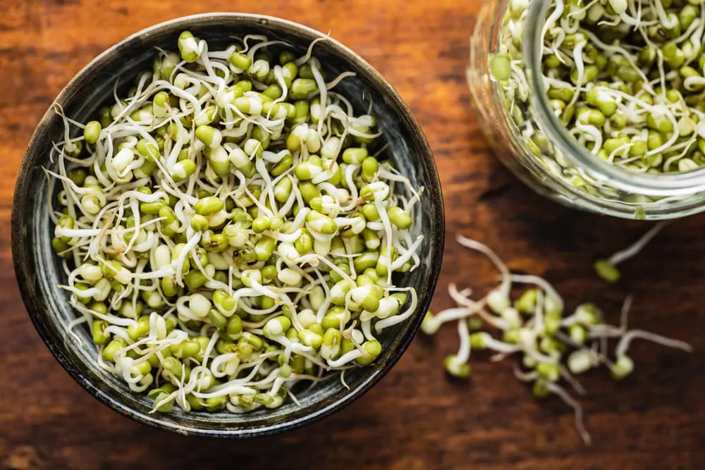 Sprouts can make you seriously sick