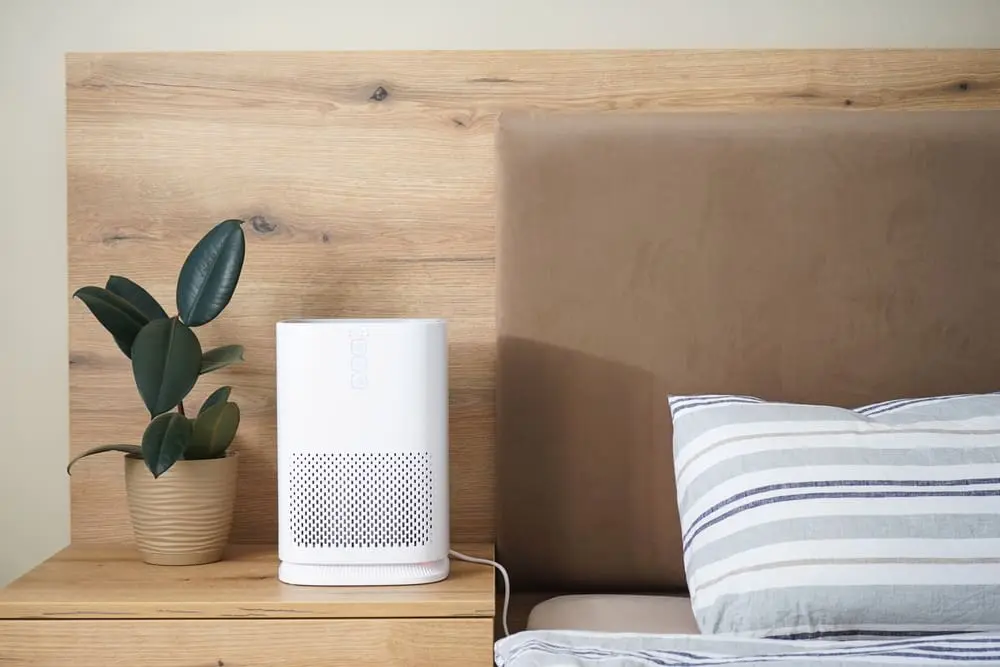 Invest in an air purifier