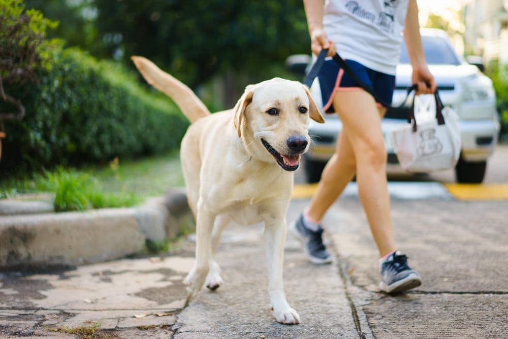 Extend your life with this amazing, FREE exercise!