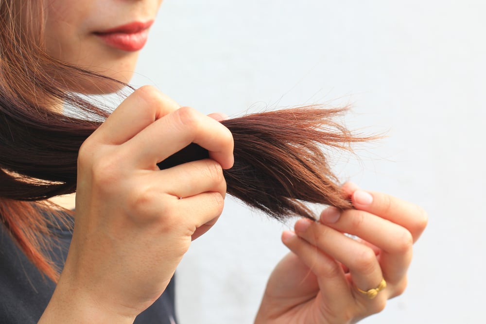 Benefits of jojoba oil for hair