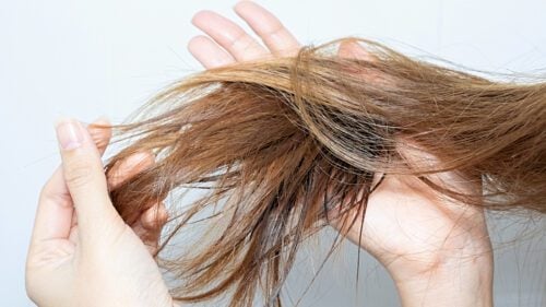 Say Goodbye to Dry Hair Woes with Jojoba Oil